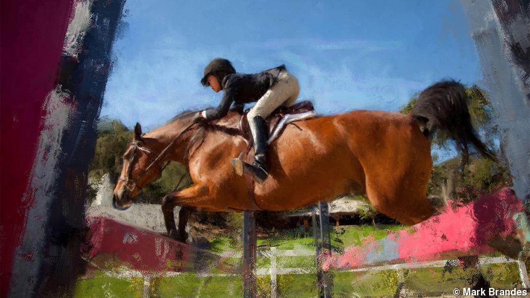 It’s not about the horse It’s not about the horse