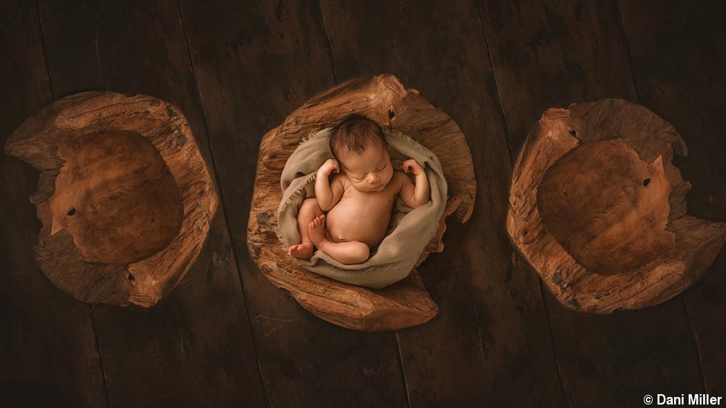 6 tips for safe newborn portrait sessions 6 tips for safe newborn portrait sessions