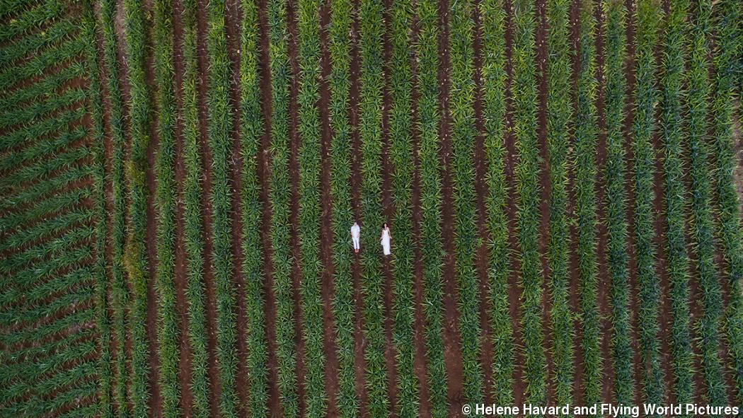 The story behind this drone wedding photo The story behind this drone wedding photo