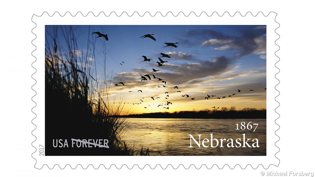 Michael Forsberg photo immortalized on U.S. stamp Michael Forsberg photo immortalized on U.S. stamp