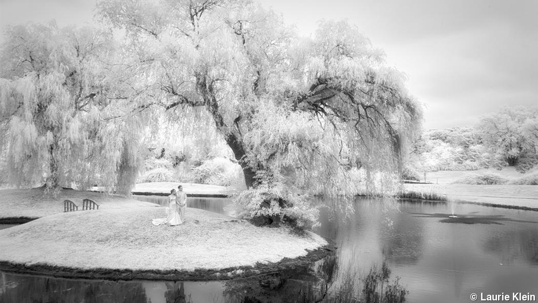 How to sell infrared photography to wedding and portrait clients How to sell infrared photography to wedding and portrait clients