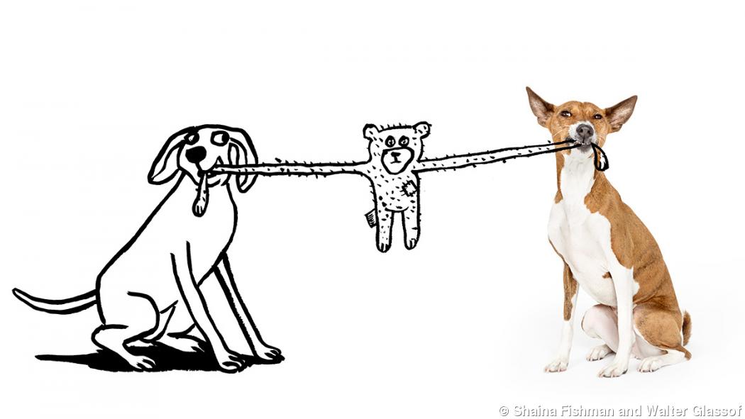 Animal photographer teams up with illustrator for humorous series Animal photographer teams up with illustrator for humorous series