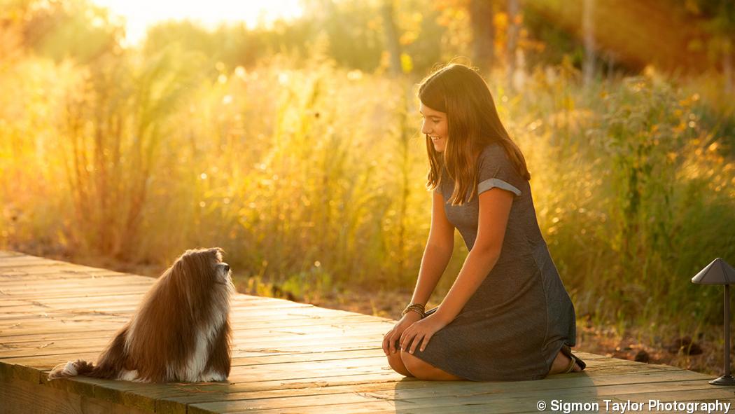 7 lessons in rehabbing a photography business 7 lessons in rehabbing a photography business
