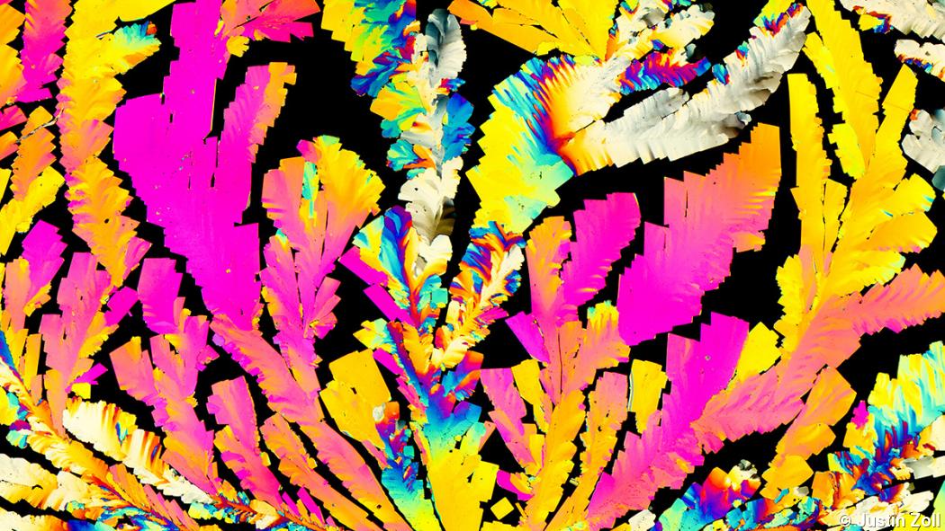 Science experiments lead to artful photographs Science experiments lead to artful photographs