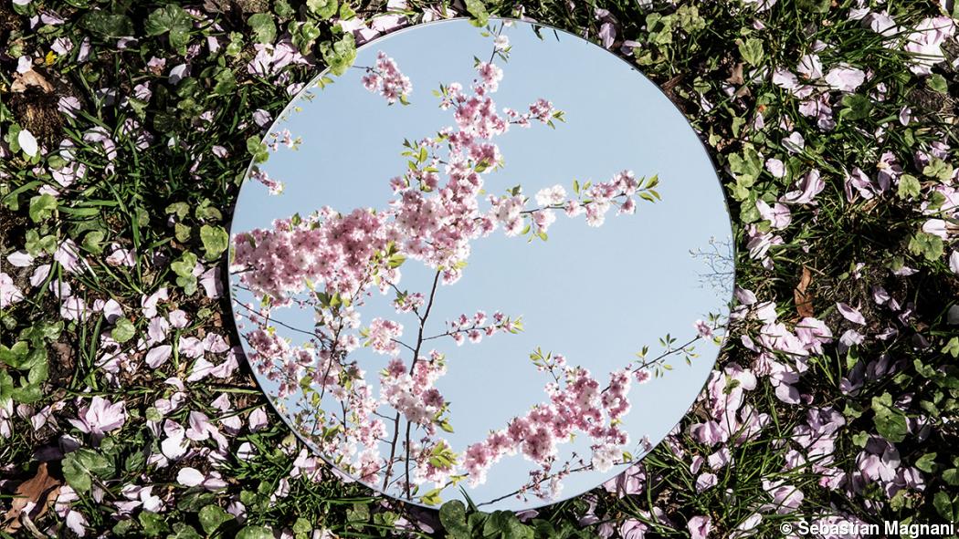Mirrored: Photo series reveals contrasting views Mirrored: Photo series reveals contrasting views