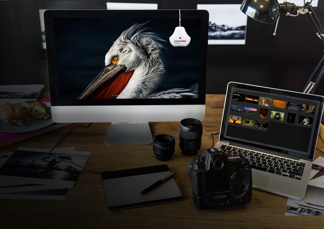 Review: SpyderX Simplifies Calibration Review: SpyderX Simplifies Calibration