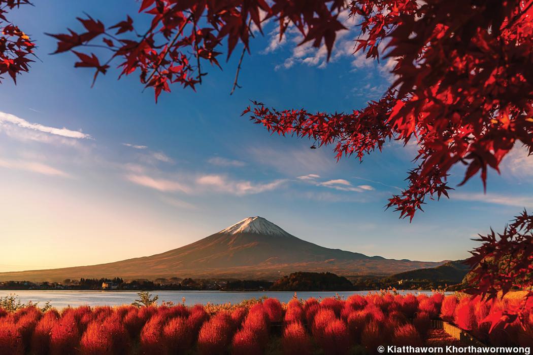 Sony World Photography Awards Announced Sony World Photography Awards Announced