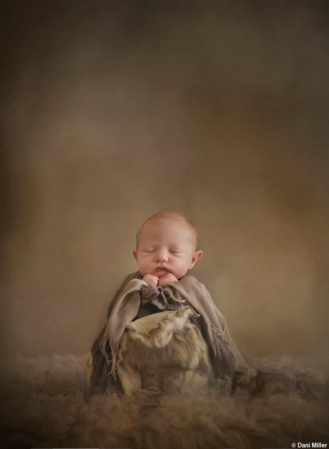 Dani Miller’s classic portraits Dani Miller’s classic portraits