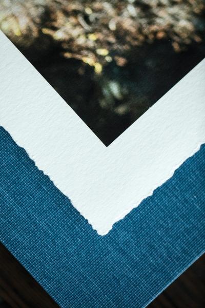 H&H Color Lab Edge Collection