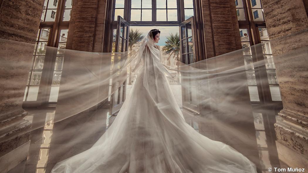 2020 Diamond Photographers 2020 Diamond Photographers