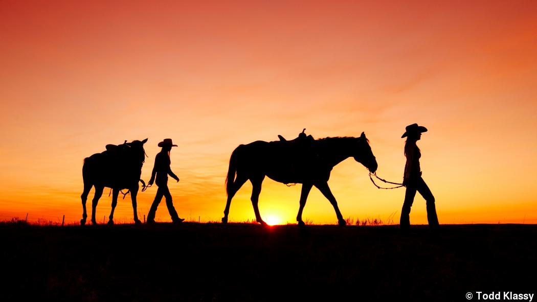 Owning his niche: Todd Klassy’s agricultural photography Owning his niche: Todd Klassy’s agricultural photography