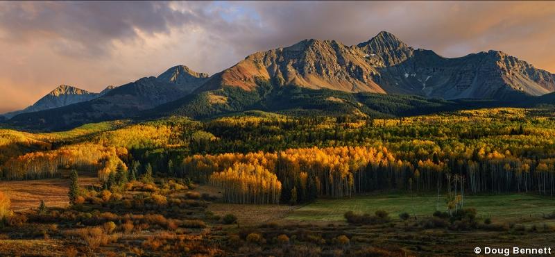 Fall Splendor