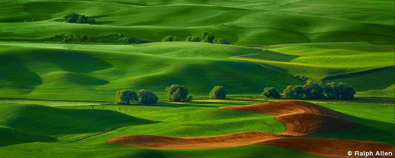2019 Grand Imaging Awards Finalists Landscape Nature