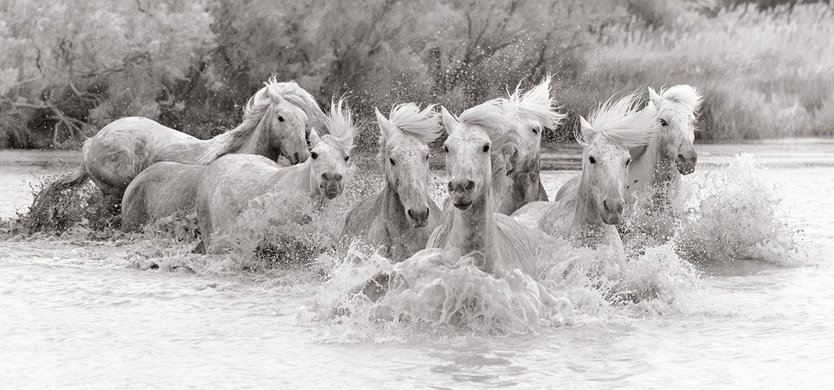 2021 Grand Imaging Award finalists: Landscape/Nature | Professional