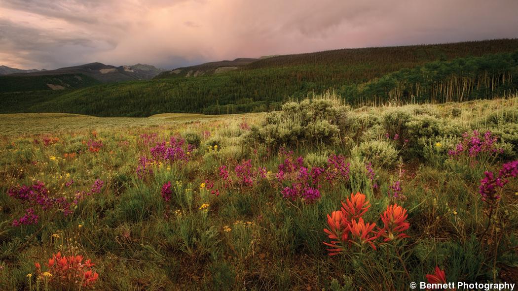 Scenery For Sale Making A Profit From Landscape Photography