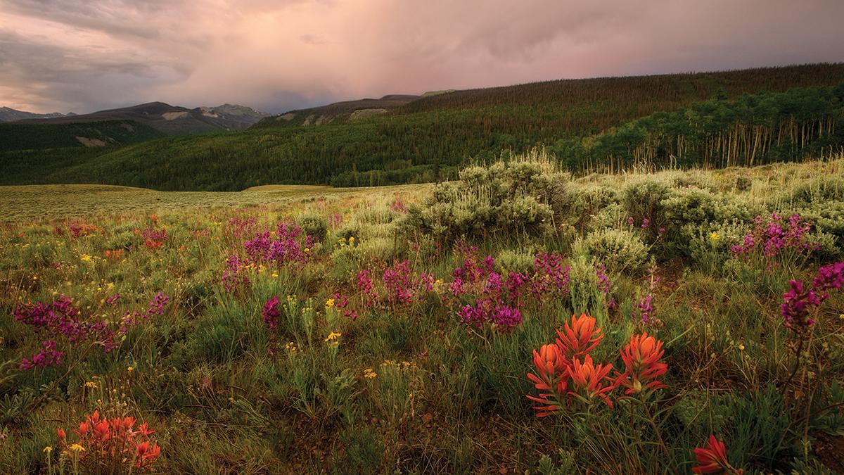 Scenery for sale Making a profit from landscape photography